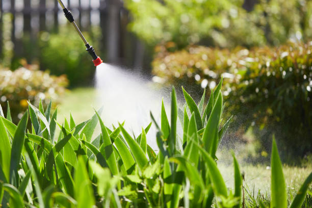 24/7 Emergency Mosquito Control experts in Fort Valley, GA